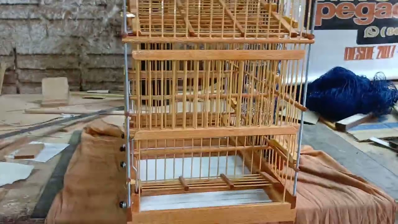 Pegadeira top do sr João Batista de MG osamento WhatsApp 84 98606-7218