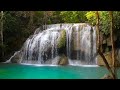 Waterfall Nature Sounds No Birds - 10 Hours Nature Sounds White Noise for Relax and Sleep