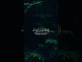 Surah Yusuf ayah 87 #surahyusuf #quranrecitation #islamicreminder #hopeinallah #islamic #viral