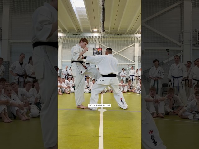 Baltic Fighting Camp 2026 #kyokushin #shinkyokushin #karate #1kyokushin #一極真 #極真会館