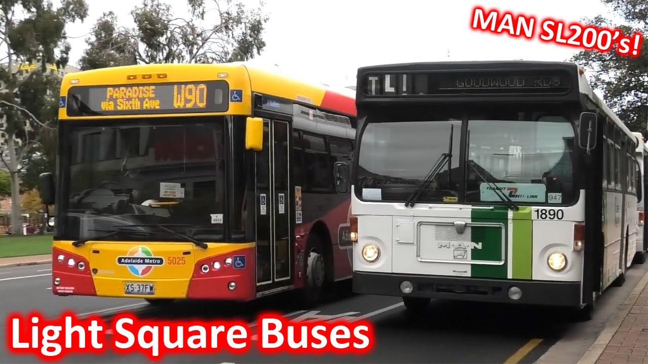 Buses at Adelaide's Light Square (ft MAN SL200's) - Adelaide Transport