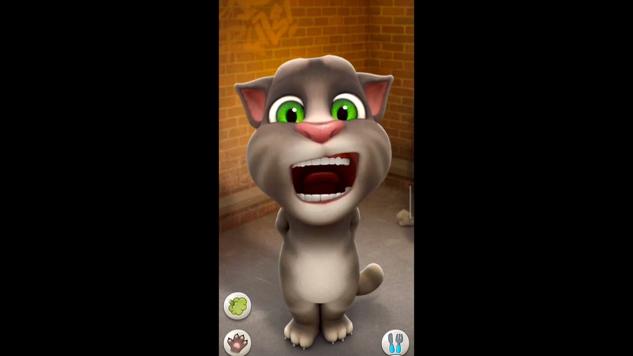 Mareez -E- Ishq Full Song 🌝| Cover By Tom Talking | Tom Talking | 