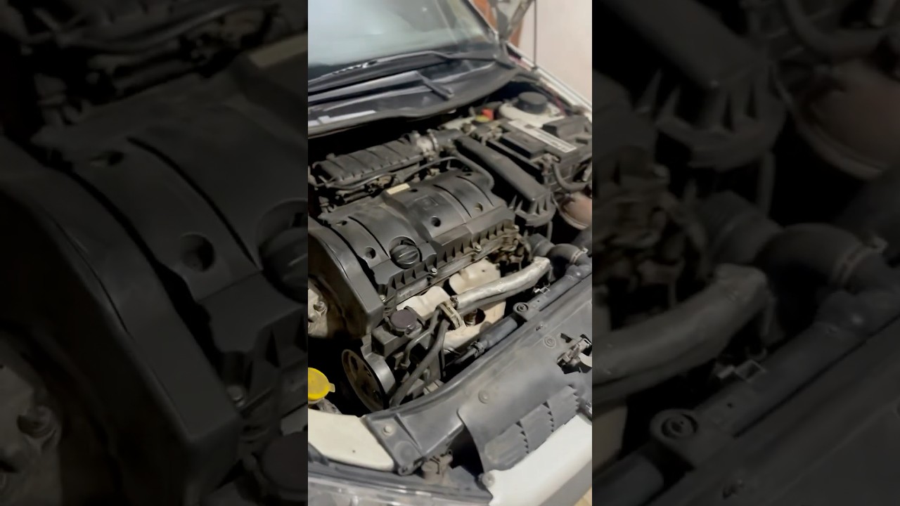 TU5 Engine Wash | Satisfying Peugeot 206 Cleaning ASMR" 😱😵‍💫