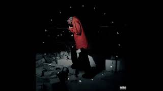 Rich Amiri  - COUNT MY BANDZ