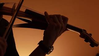 Old Doll (Violin Version)