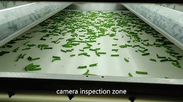 Optical sorting of green beans