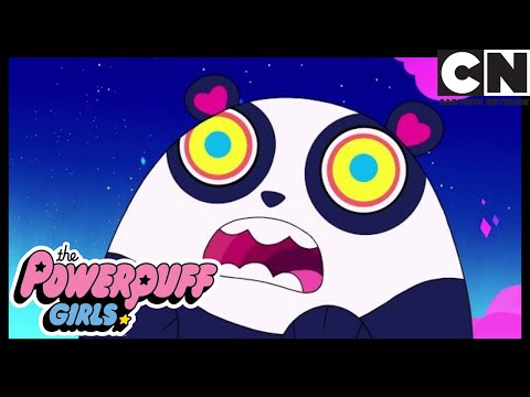 Весёлая Панда | Суперкрошки Cartoon Network