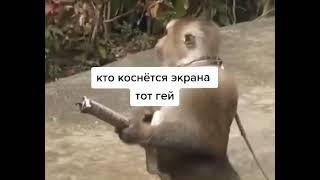 Кто госнётся тот гей