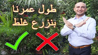 طول عمرنا بنزرع غلط, الطريقة الصحيحة لتحضير الارض و الزراعة بها, Prepare and Plant on the Land