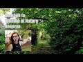 Damages to wildlife in Deans Brook Nature Reserve