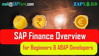 SAP Finance Overview for Beginners & ABAP Developers