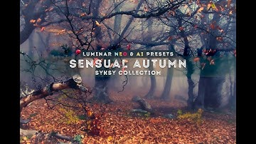 Luminar NEO Presets & AI Templates • SENSUAL AUTUMN Set