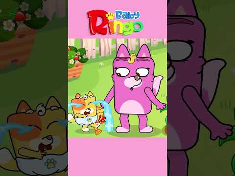 Give me a bandage for kids #booboosong #shorts #babyringo #kidssong