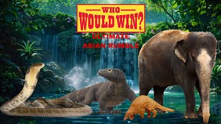 Who Would Win: Ultimate Asian Rumble
