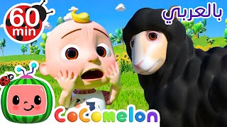 Cocomelon Arabic - أغاني كوكو ميلون | اغاني اطفال ورسوم متحركة | أغنية سيدي الخروف