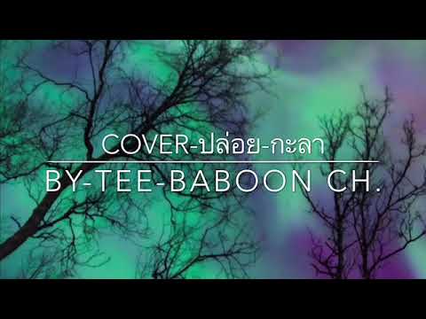 Cover - ปล่อย - หนุ่ม กะลา \ By - tee BABOON CH.\