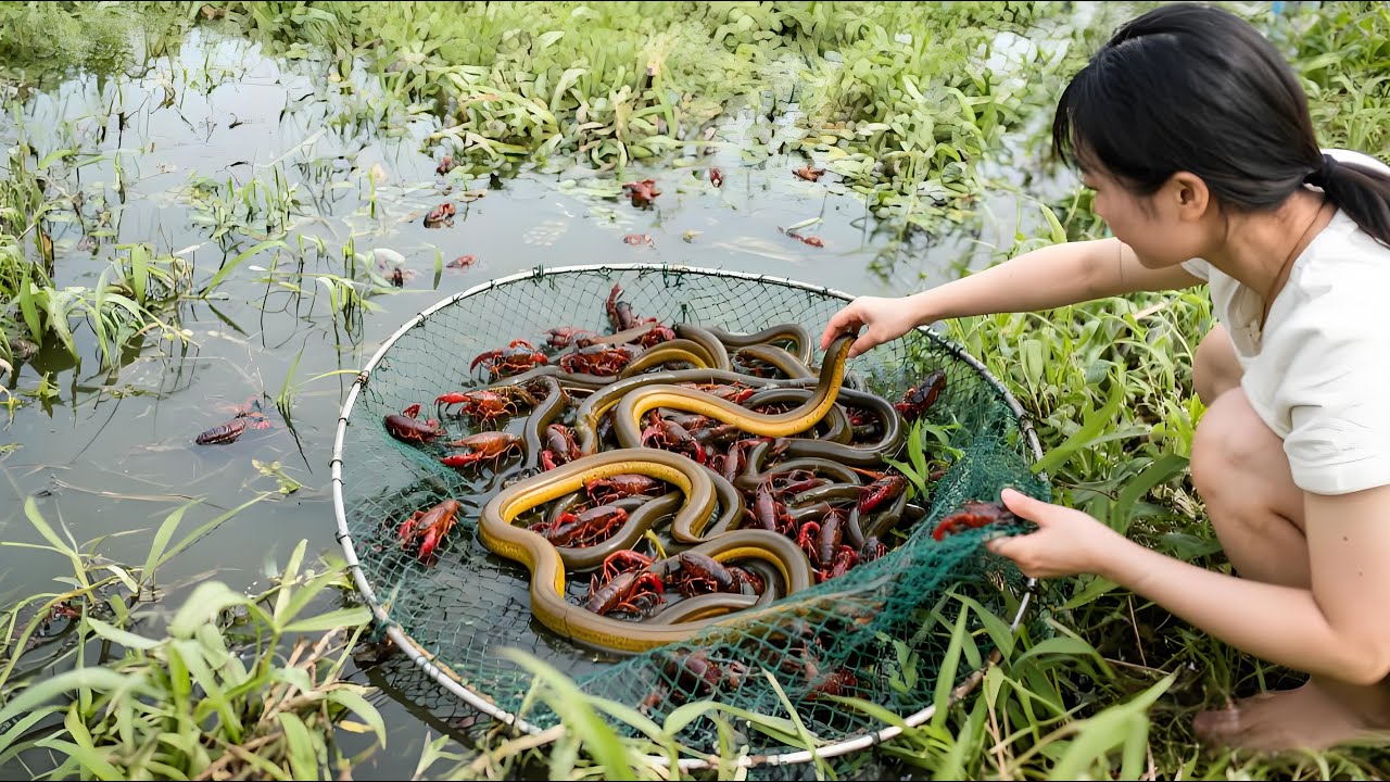 美女包下130亩鱼塘钓场，塘主免费让抓黄鳝，这下不发财了~