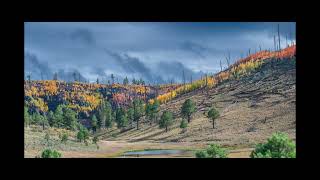 2025 Fall Colors Arizona White Mountains