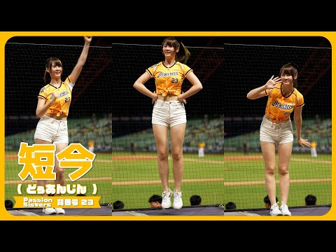 【4K 縦動画】江坤宇應援!! 短今（Sammie）サミー Passion Sisters 中信兄弟啦啦隊 CPBL 中華職棒 臺中洲際棒球場 2023/07/20【台湾チアTV】