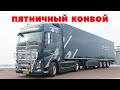 ETS 2 🔴 ПЯТНИЧНЫЙ КОНВОЙ в Multiplayer, ProMods 2.55/ Logitech G27 gameplay