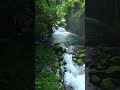 Deep Calm in Just 30 Seconds 😴 #relaxingmusic #travel #deepsleep