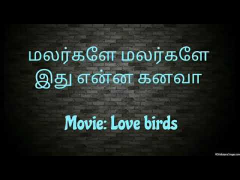    Malargale Malargale Song from Love birds Movie