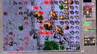Tibia Harmonia Dark Wonix