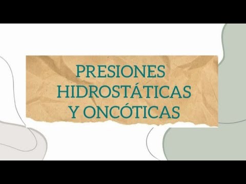¿Qué es la presión hidrostática y oncótica? ¿cuáles son las fuerzas de ...