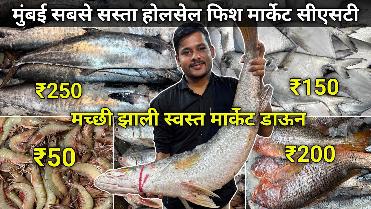 Mumbai Cst Fish Market | Cst Fish Market Mumbai | Cst Fish Market | Wholesale Fish Market In Mumbai