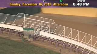 www trackinfo comvideo box jspraceidgmg2420121216a 2