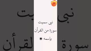 نبي سميت سورة من القرأن بإسمه ؟