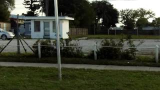 Our new Florida life - 109 0115