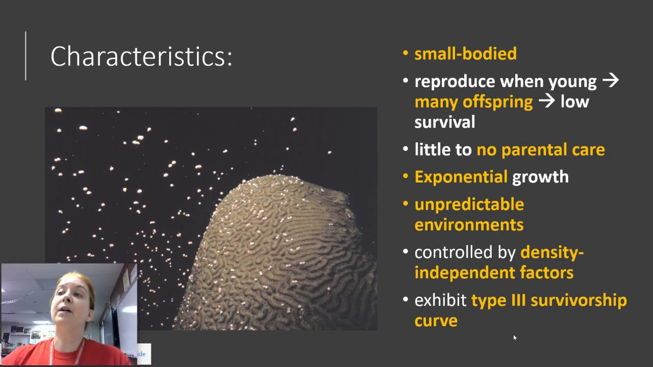APES Unit 3 Section 2 Life History Strategies YouTube APES Unit 3 Section 2 Life History Strategies YouTube