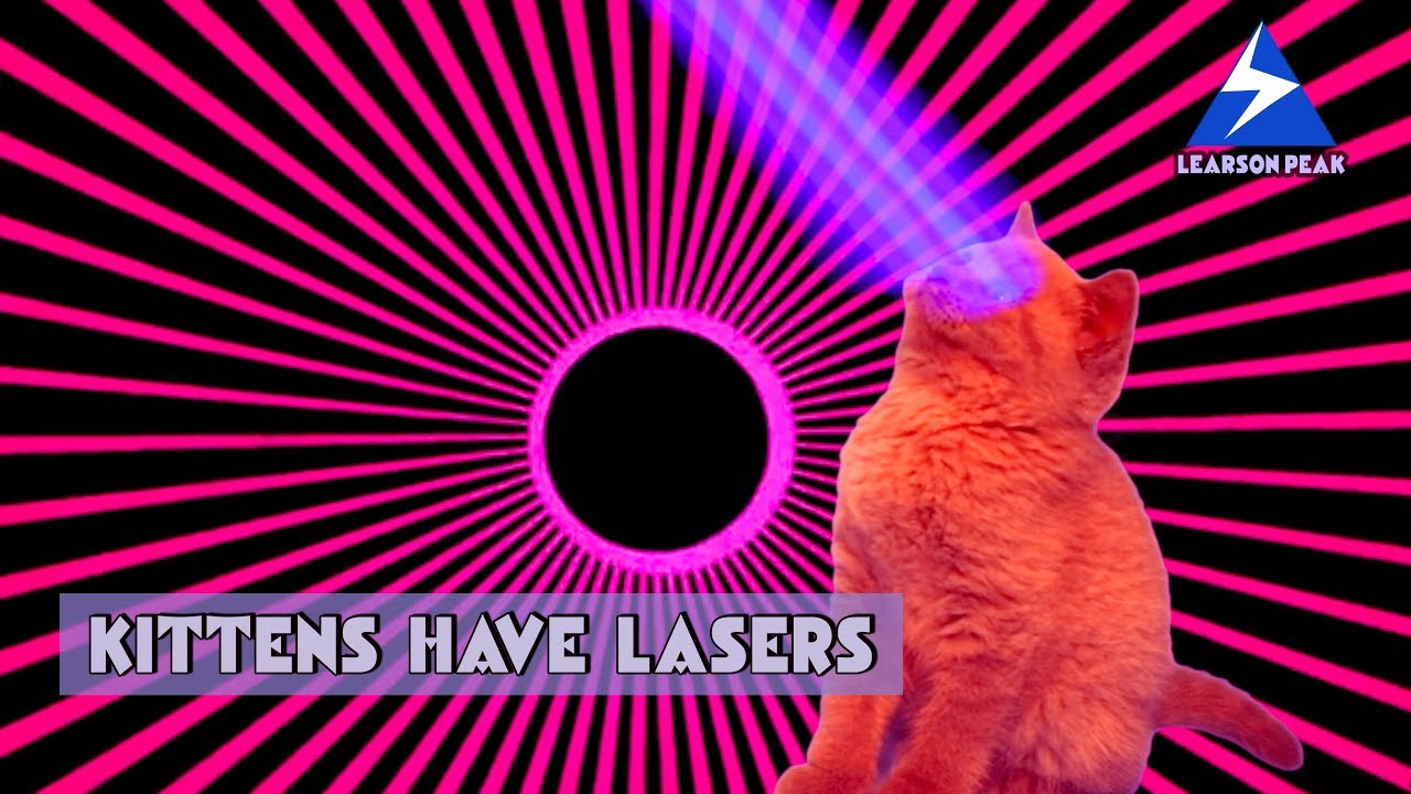 Kittens Have Lasers YouTube