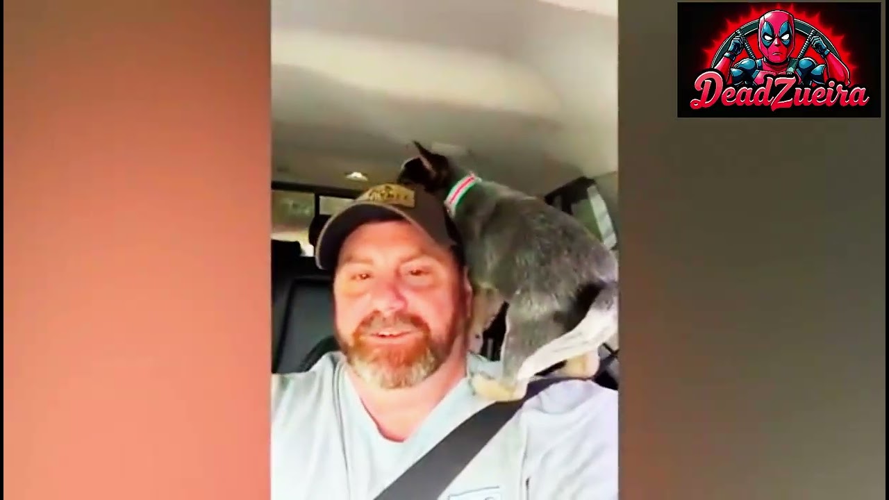 Os  Videos Mais Engraçados Que Bola Na Internet - Parte 2