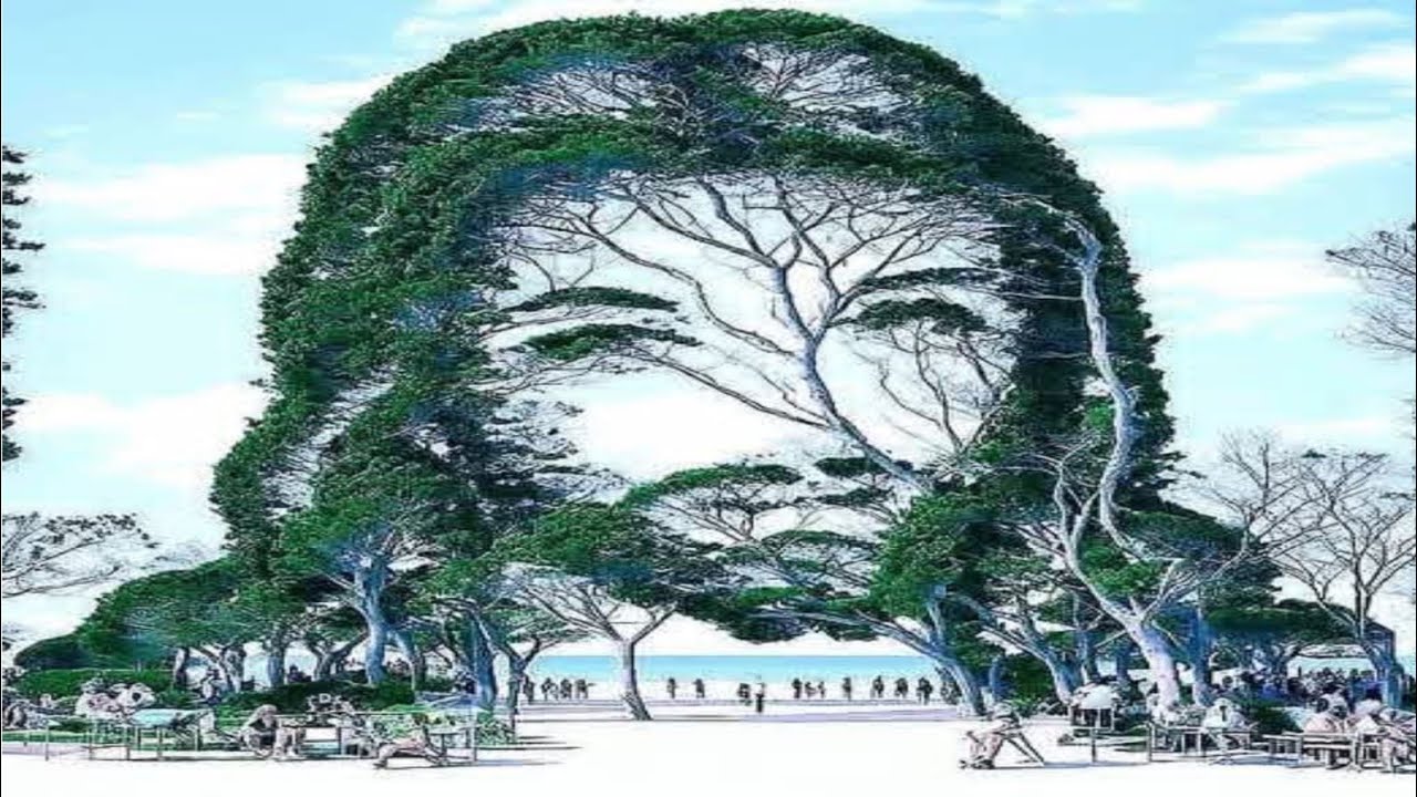 "Don’t Blink — Close Your Eyes 75% to See the Mystery ✨👀"