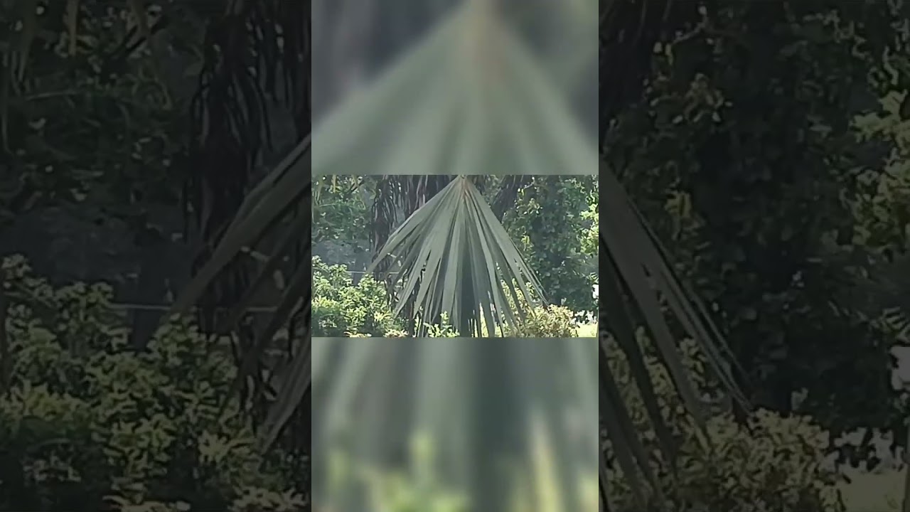 Nutana Aakashamu nutana bhumi,,Song by Bro Madhu Joe and Sis Jessi Veena.