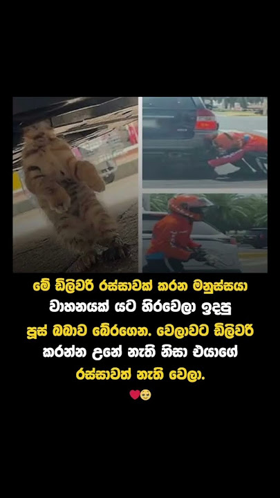 හොද මිනිස්සුන්ට වරදිනවා වැඩි 🥹 #shorts #viral #trending #ytshorts #viralvideo