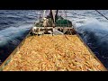 Should watch this Fishermen's video, Shrimp Fishing, Catch Shrimp Tens of Tons Shrimp on Boat #02