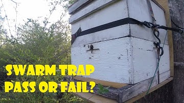 Checking Swarm Traps.....Finally