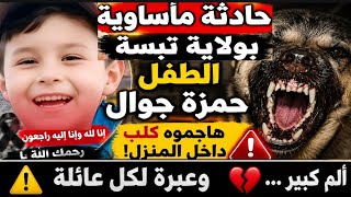 هاجمو الكلب داخل المنزل حمزة جواز من ولاية تبسة  ان لله وان اليه راجعون