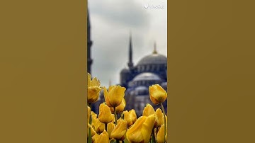 «سبح اسم ربك الاعلى»#سورة #الأعلى #قرآن #القرآن_الكريم #تلاوة_خاشعة