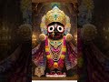 💞Jagannath jagnnath 💞 nilachal wale 💞tu na sambhale# to hame kaun# sambhale🌺❤️🌹🥰#💞💞💐❣️🙏#💖🚩🙏