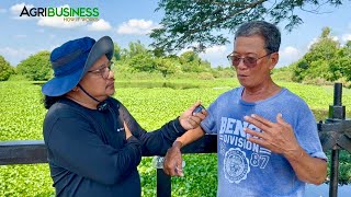 BAKIT WIN WIN ang CONTRACT GROWING PROJECT para sa ating mga RICE FARMERS?