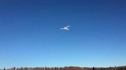 Amos Esh Flyby