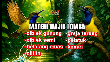 Dijamin cepat masuk & ngunci ‼️Masteran sogon full tembakan