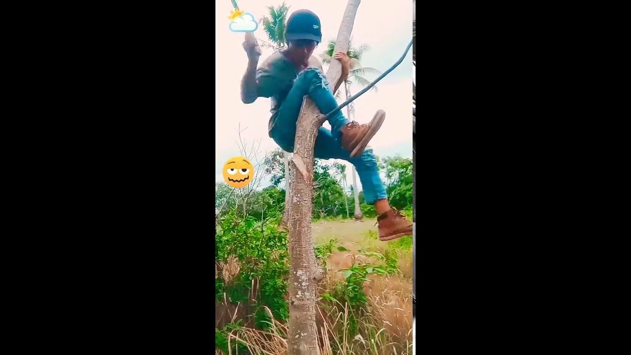 video lucu bikin ketawa ngakak 