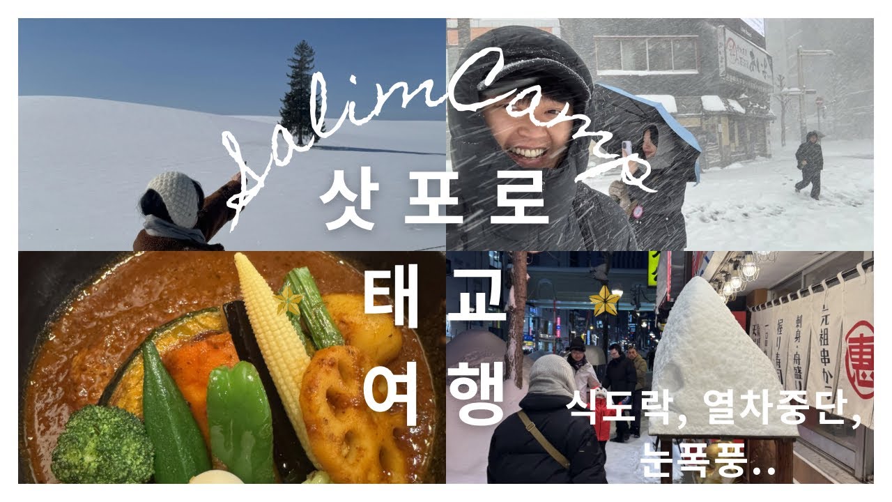 삿포로 태교여행 vlog - 열차 버스 중단 눈폭풍 식도락