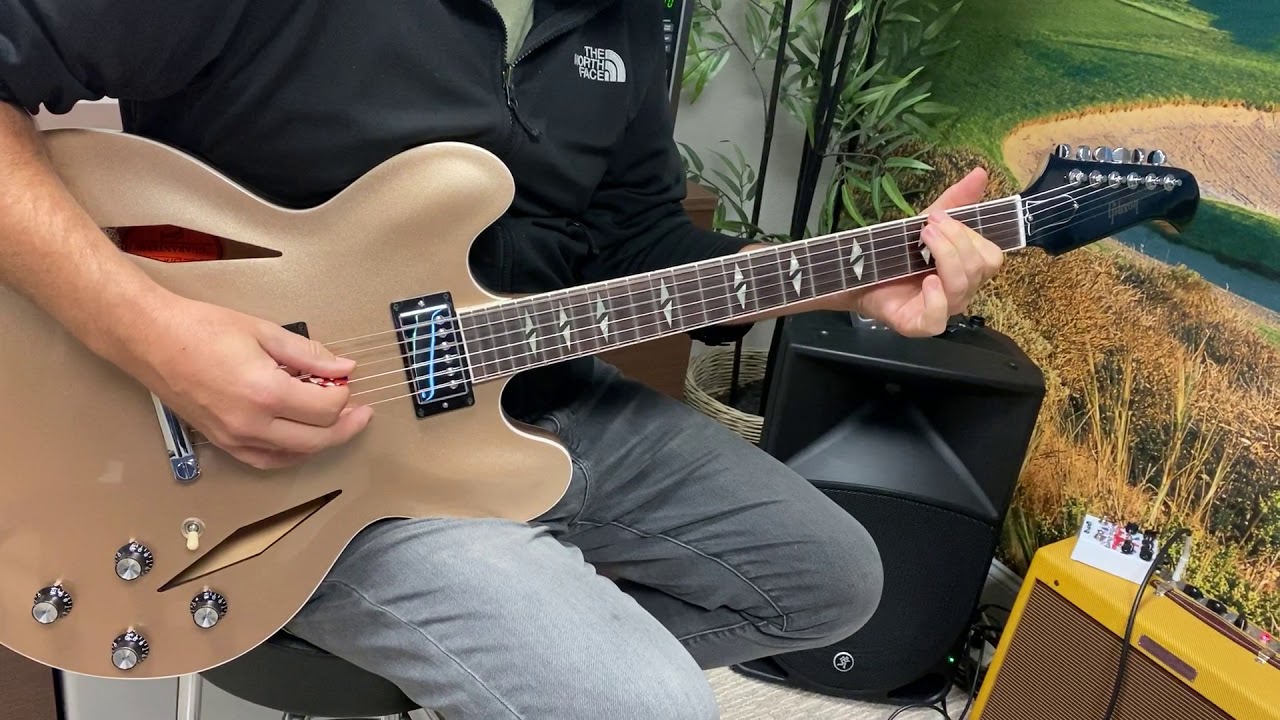 Gibson ES-335 Dave Grohl signature_GDF