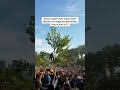 When #TravisScott performed from a tree at Made In America Fest 2016 🤯🔥